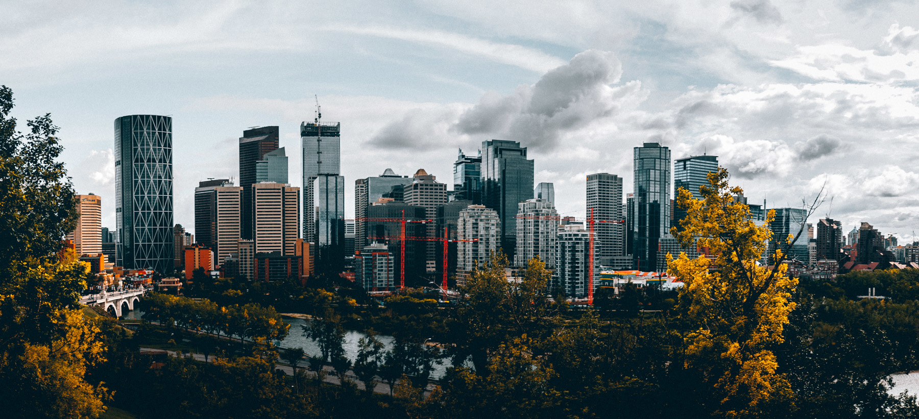 Real Estate 101: Calgary Bidding Wars 